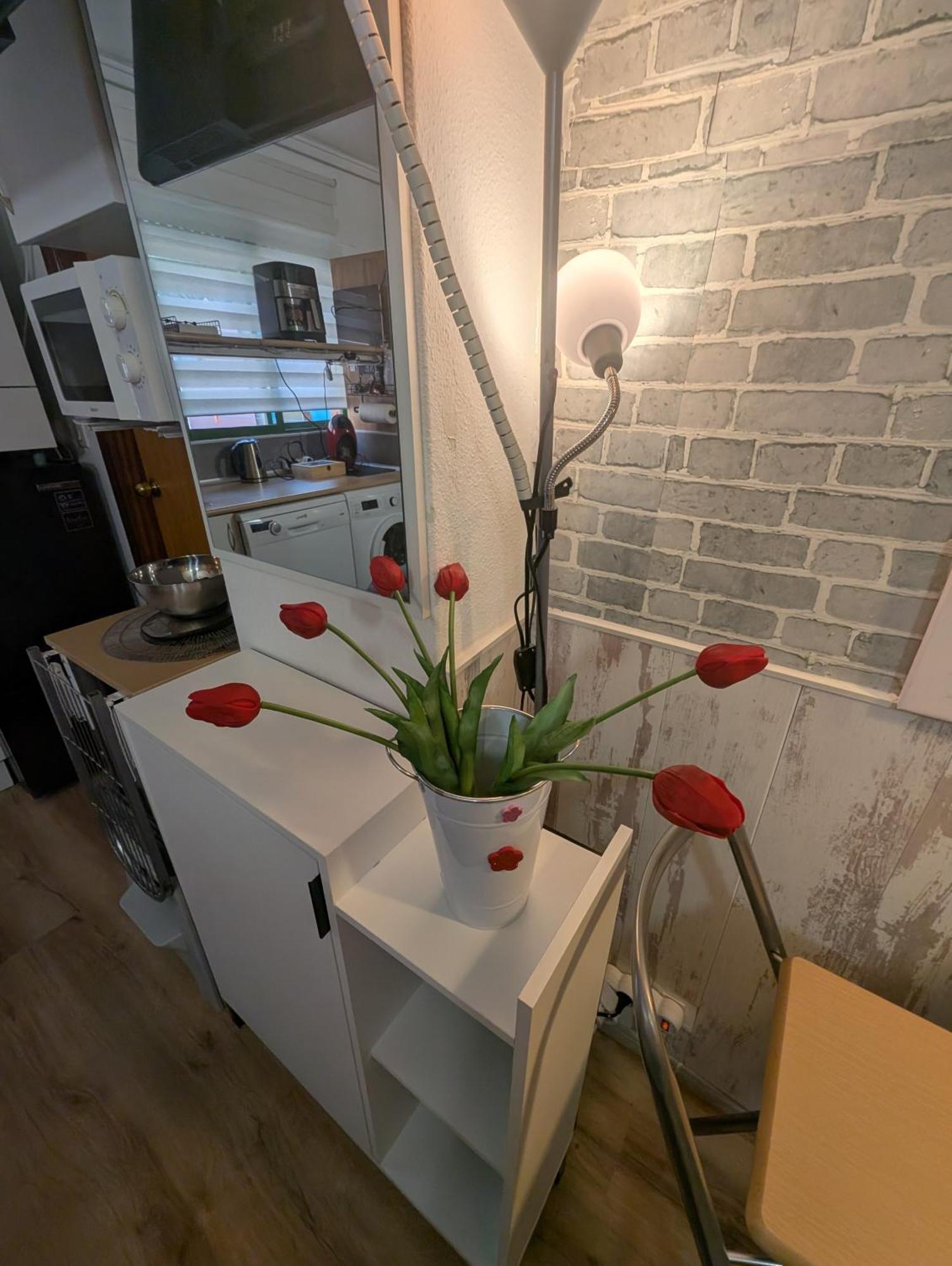 Alicante Postiguet Studios Kültér fotó