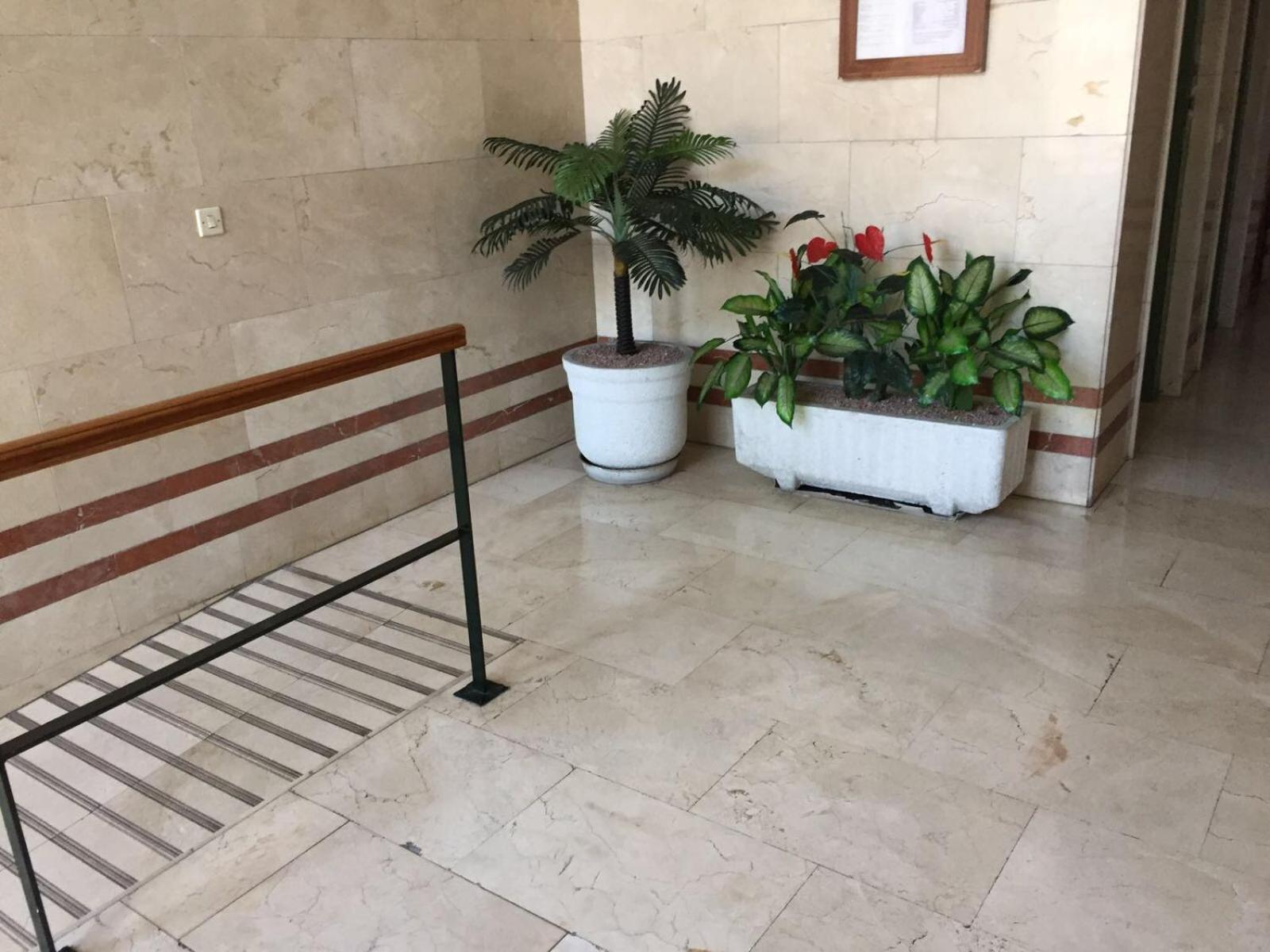 Alicante Postiguet Studios Kültér fotó